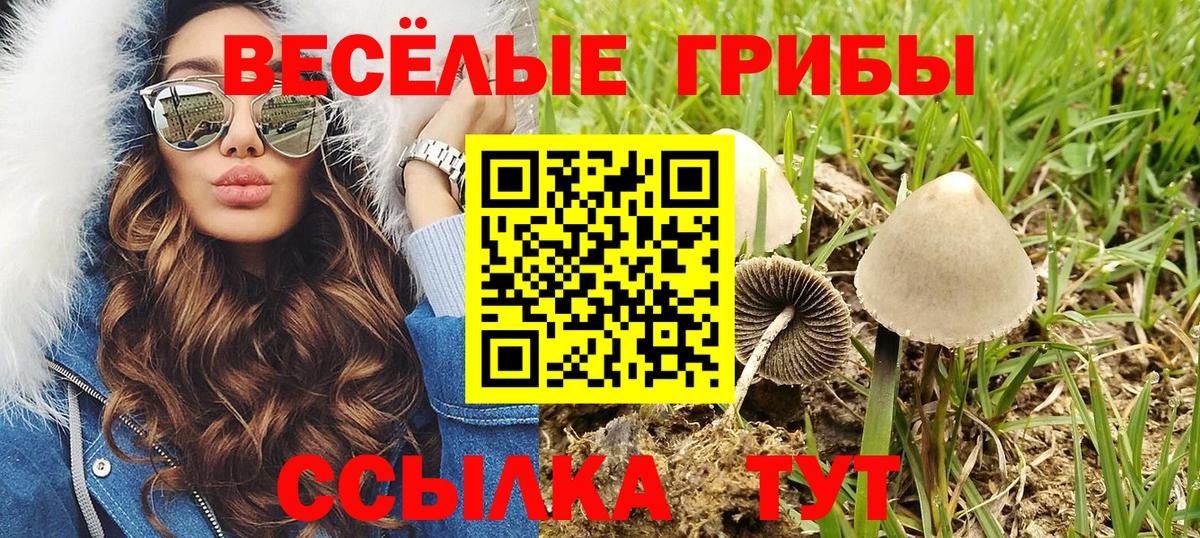 Галлюциногенные грибы мицелий  купить закладку  Псилоцибиновые грибы Cubensis  Керчь  Вход с VPN 
