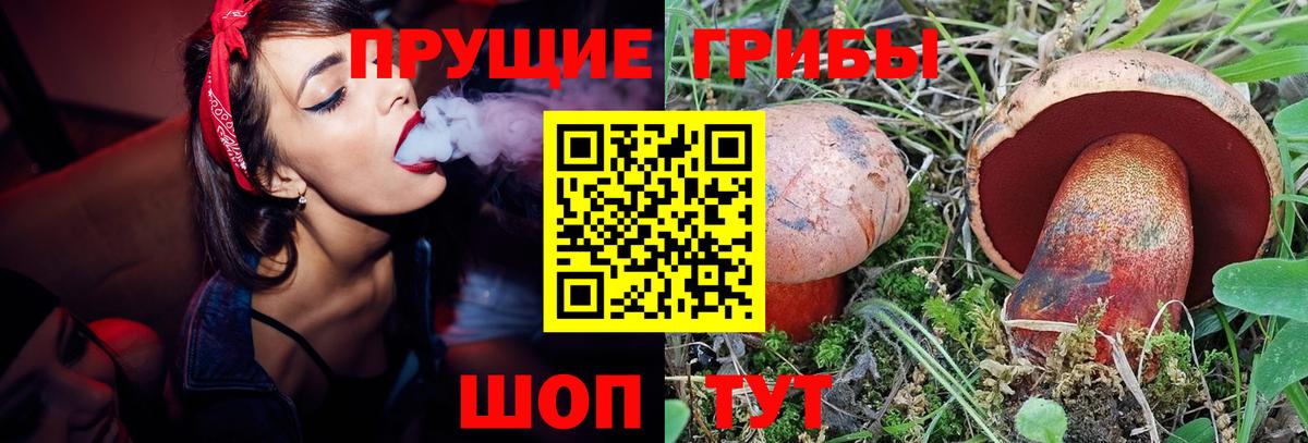 Псилоцибиновые грибы прущие грибы Керчь